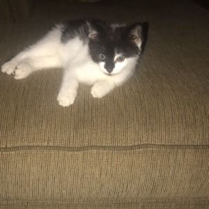 Meet your Posher, Kylee